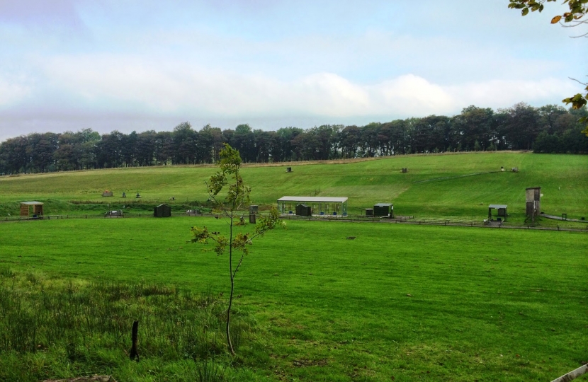 coniston clay shoot